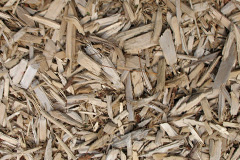 biomass boilers Geary
